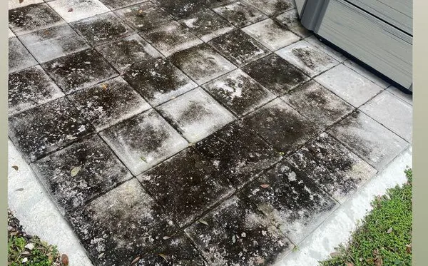 Patio pavers before: black with mold