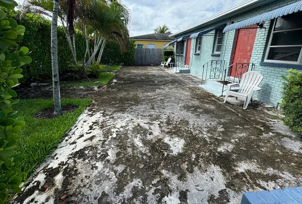 Driveway before: black mildew across the concrete